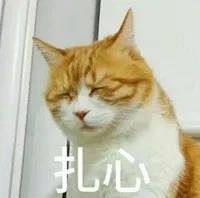 1615771943155861.jpg 微信圖片_20210315092142.jpg